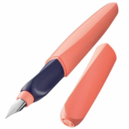 PENNA STILOGRAFICA penna stilografica Pelikan, modelo Pelikano in  plastica, LIVEBID